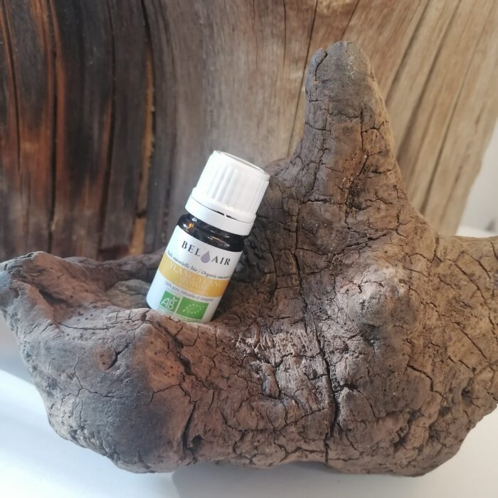 Huile essentielle Ylang Ylang 5 ml